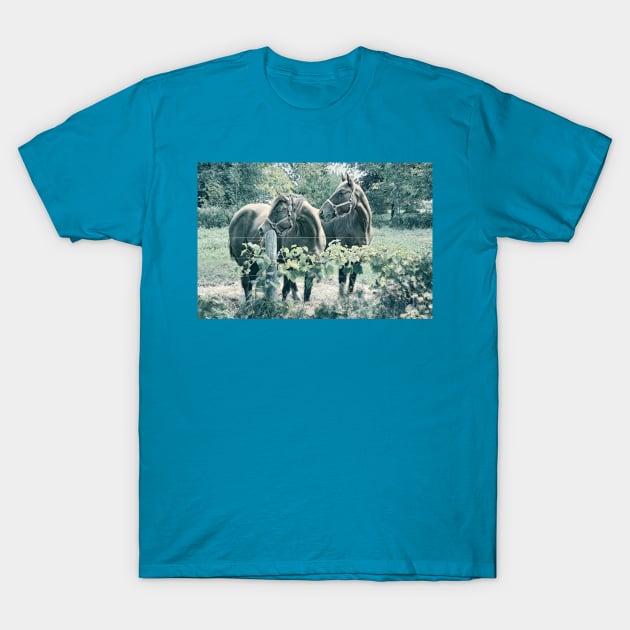 Two Horses 1C T-Shirt by MaryLinH